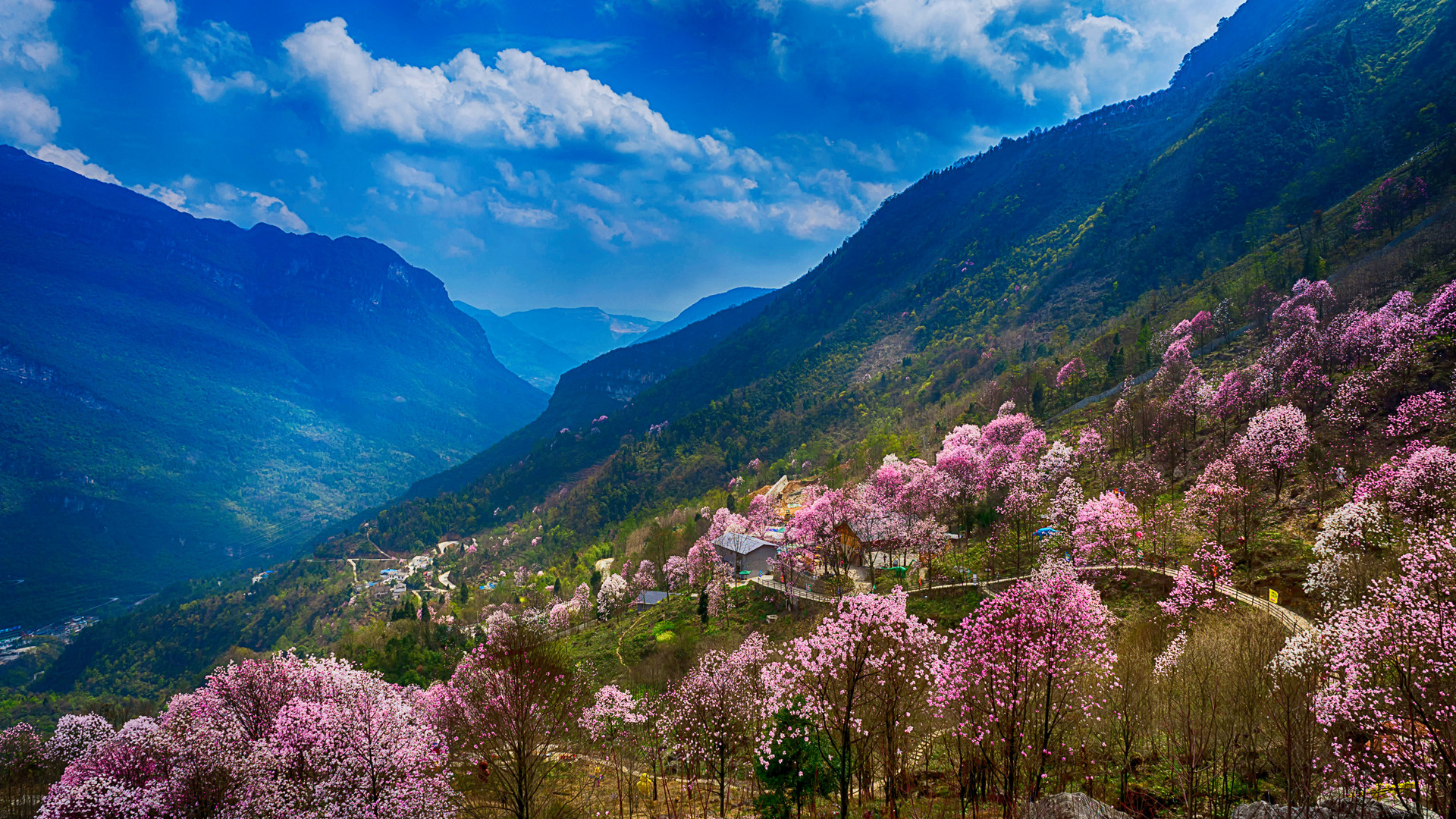 OpenPortal Portal协议WEB认证WIFI认证系统